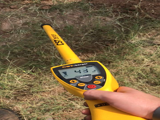 A hand grips a yellow and black thermometer, set against a backdrop of lush grass.